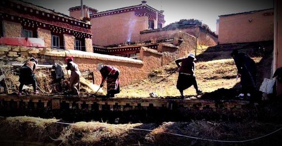 四川省理塘县旅游形象大使丁真,丁真四川甘孜理塘县旅游形象提升