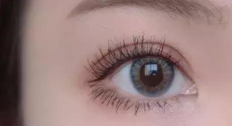 预算50元可以买什么好玩的,50元以下适合学生党买的蜥蜴