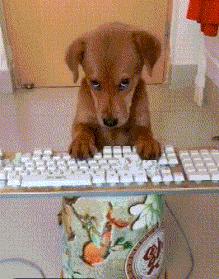 是否有这样一款球鞋它并不主流，但你愿意去分享它的故事？