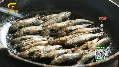 巴马的神秘之处,巴马不解之谜