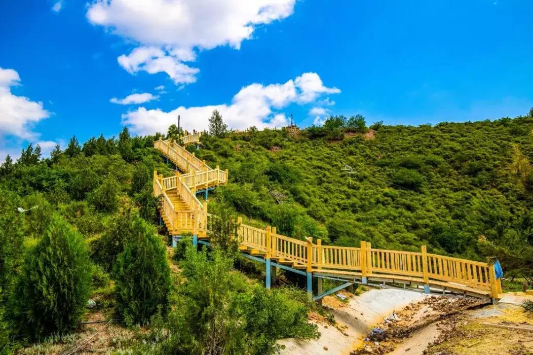 石家庄最高级的足球场,足球场拍照高级感唐山