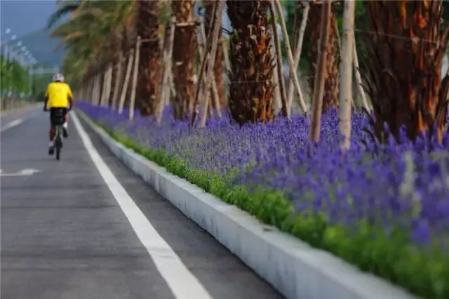 三亚这家口碑爆棚的酒店,三亚酒店最好看的一家