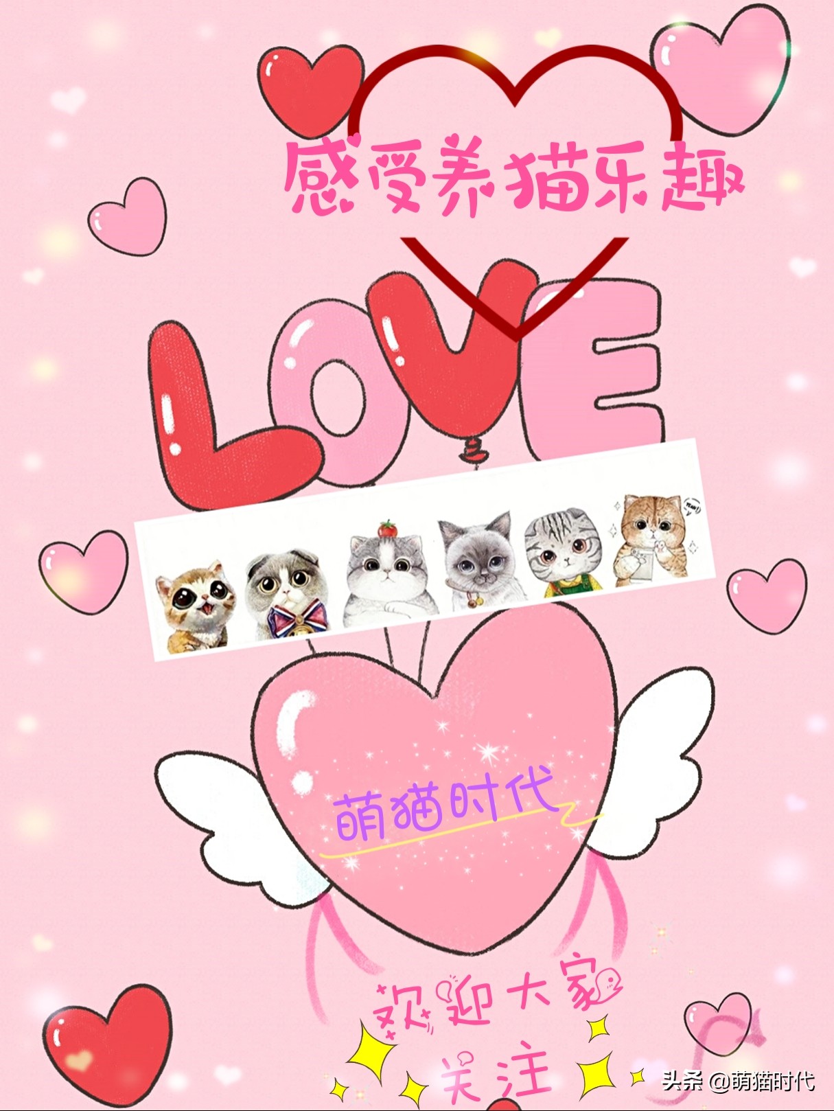 怎么判断猫咪的视力和听力,认知小猫