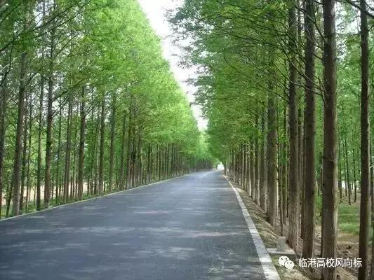 临港适合看书的地方,上海临港有没有读书的地方