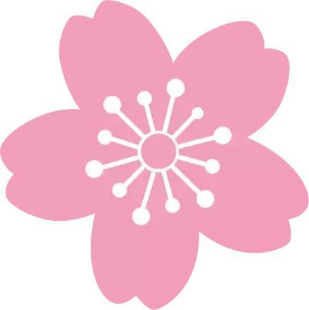 电子承兑汇票12种常见的票据状态,怎样认识电子承兑汇票票面信息