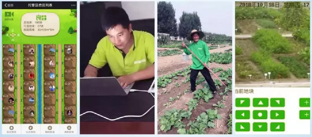 自己种菜省钱方便,自己种菜又方便又放心