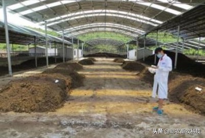 鸭粪除臭的最好方法,鸭场除臭味最快的方法