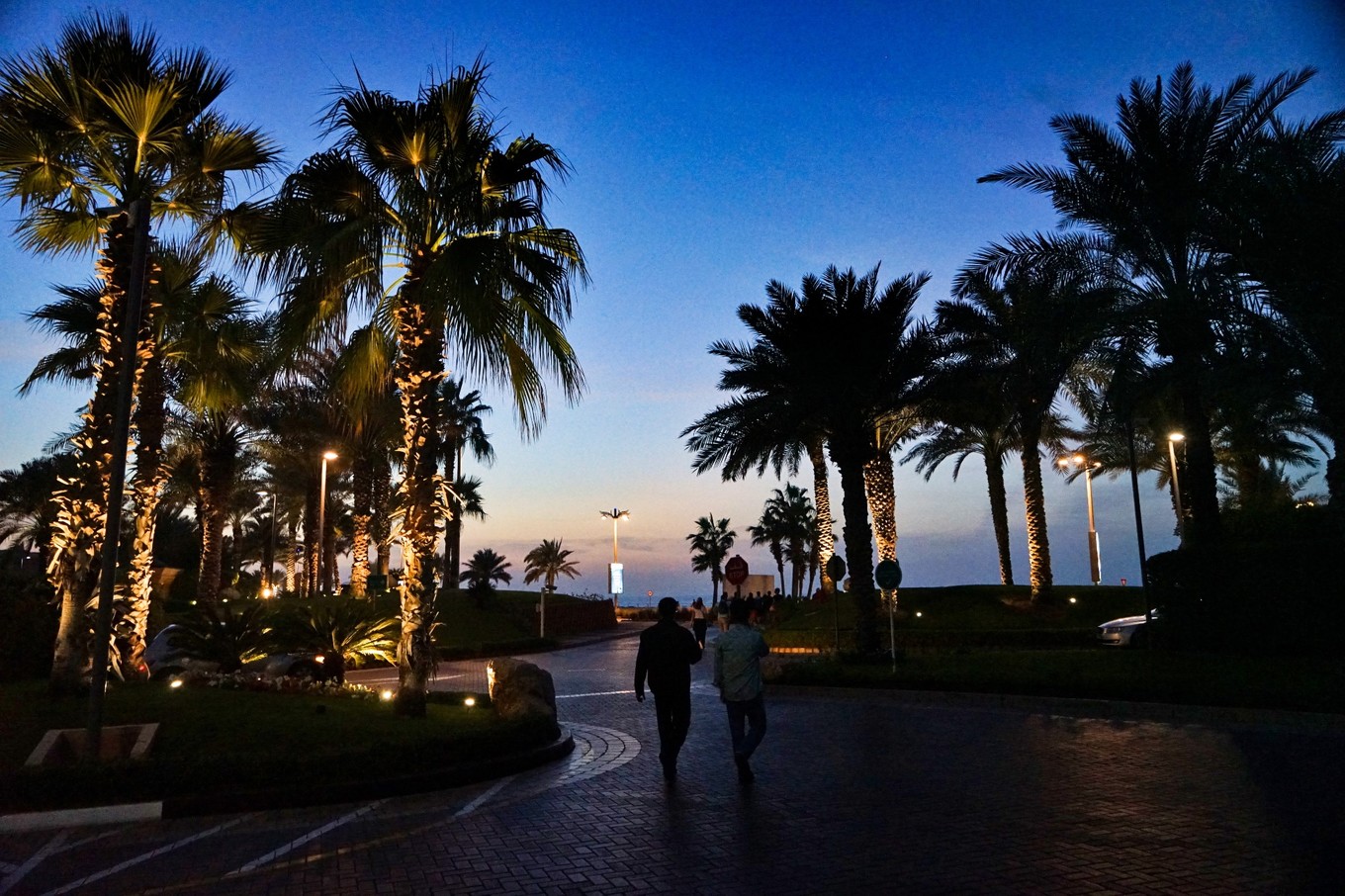 迪拜最好的网红打卡地,迪拜全新打卡点