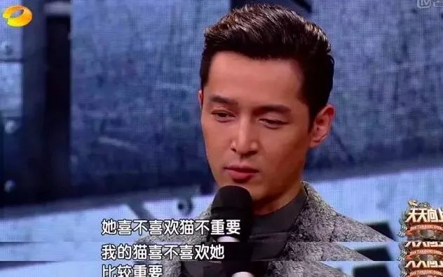 哪些明星养猫最好养,盘点明星们养的宠物