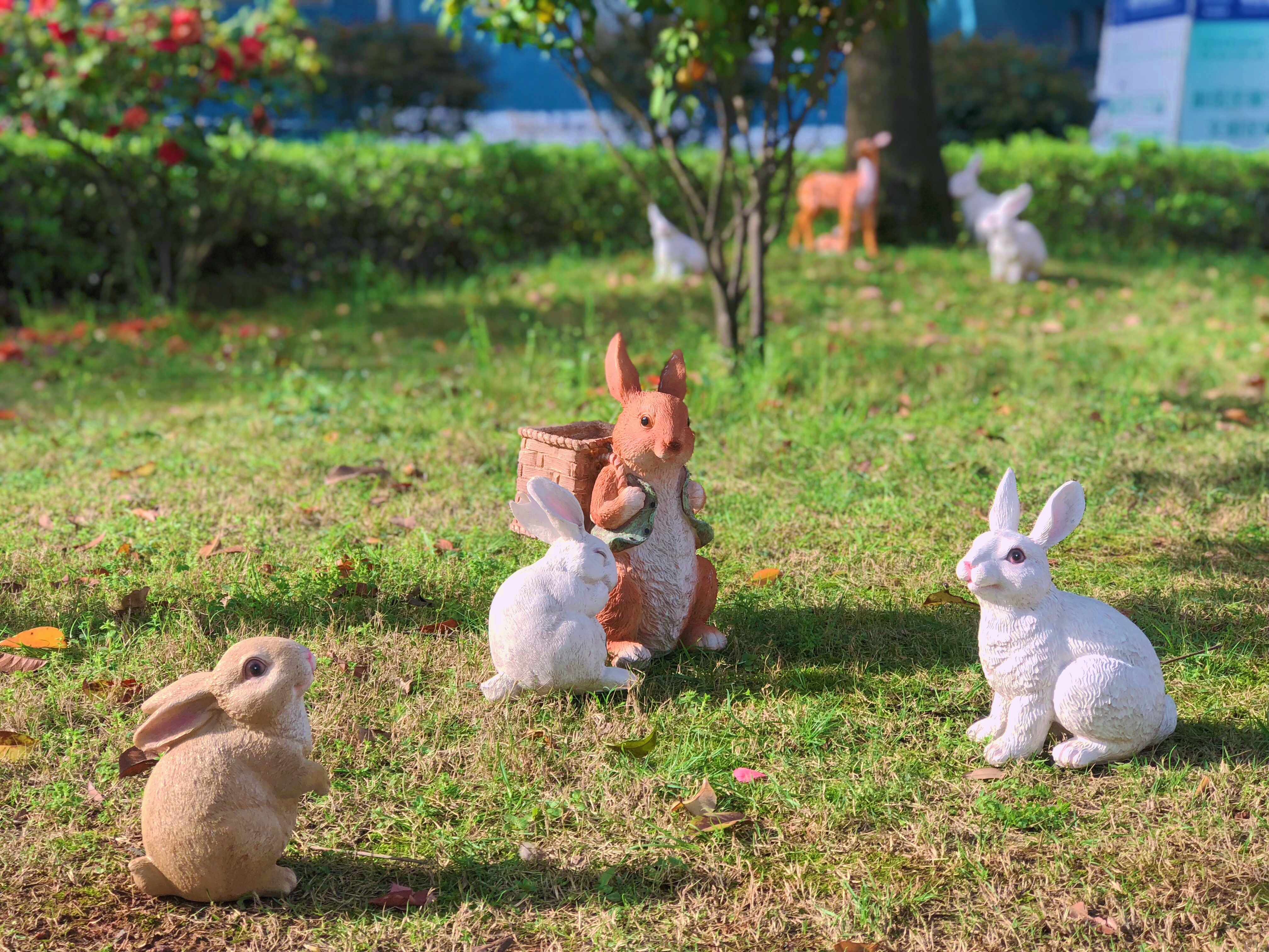 岳阳市金鹗小学风采展示,岳阳市金鹗小学99届