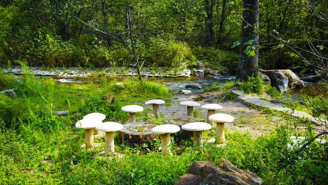 适合夏天去旅游的自驾路线,适合夏季的自驾游路线推荐