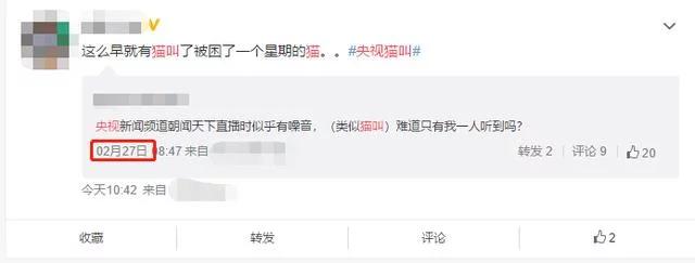 央视直播猫叫后续,央视直播多次出现猫叫
