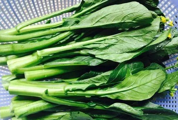 原汁原味汤汁地道的菜芯的做法，清淡美味又营养，“天然青霉素”