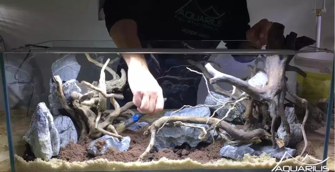 草缸造景教程：这个缸居然能装下一头“犀牛”？