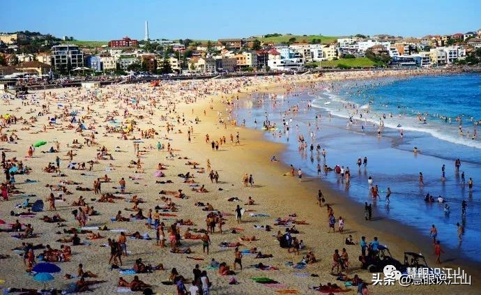 悉尼邦迪海滩,悉尼邦迪海滩新闻