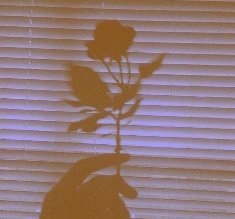 许三观卖血记全文,许三观卖血记全书精简书评