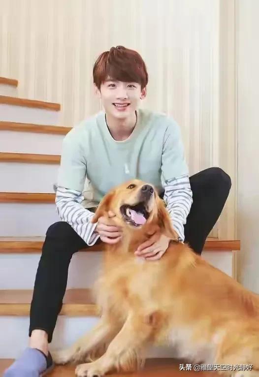 谁的笑容最治愈男明星,有没有治愈系笑容的男明星