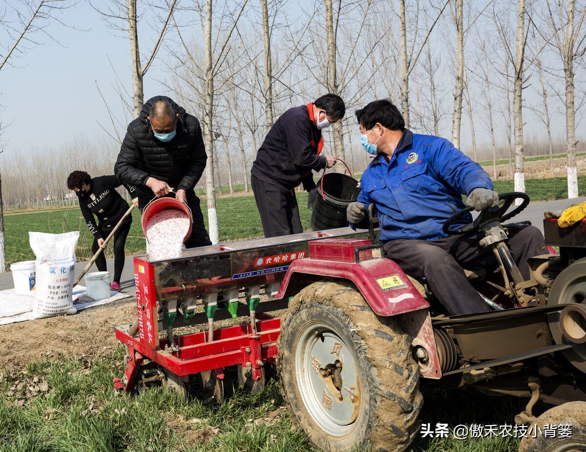 含氯化肥使用注意事项,长期使用中氯化肥对作物有危害吗