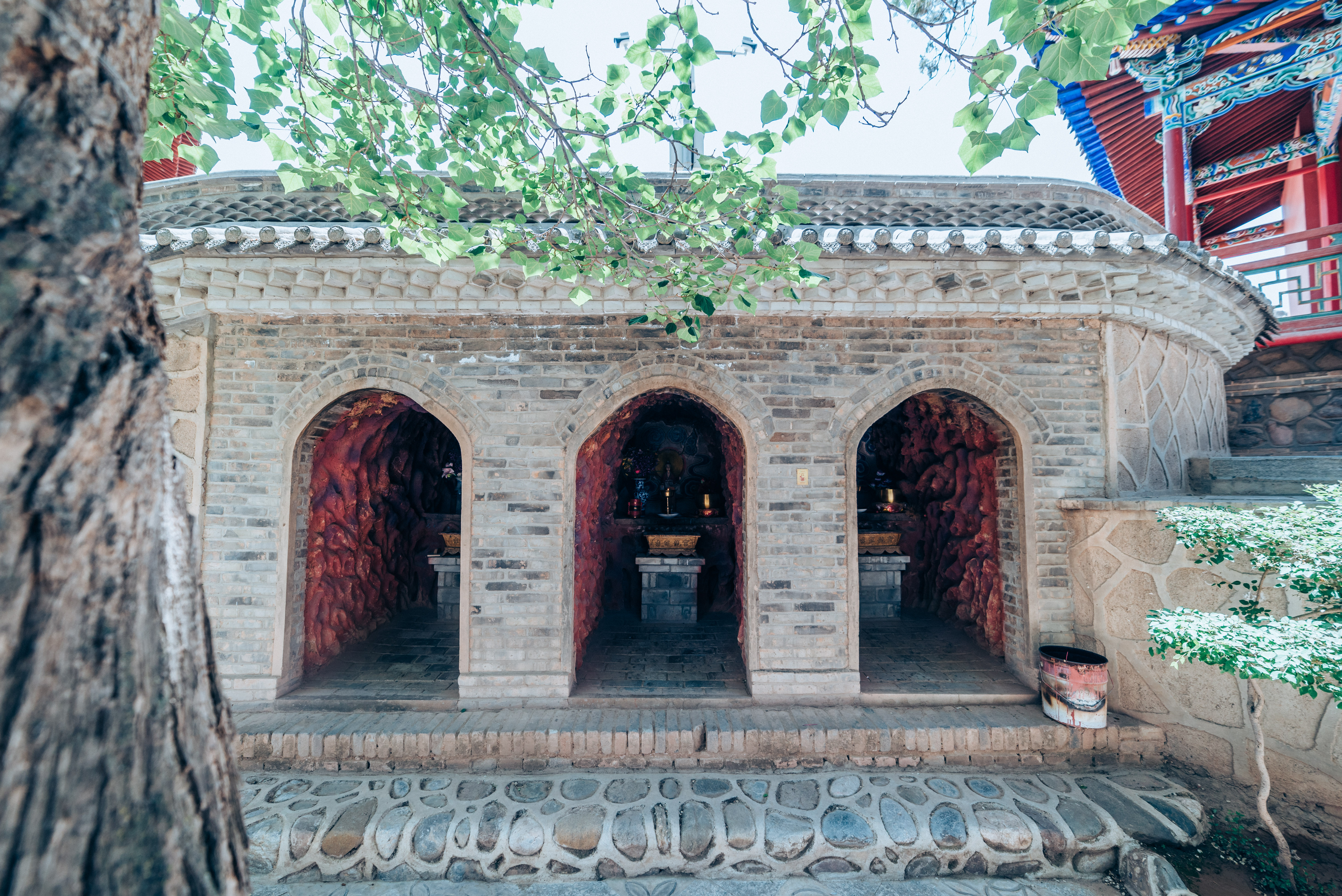 李是不是中国最强的姓氏,李为何能问鼎最强姓氏