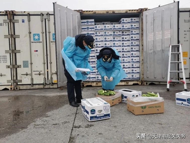 吉尔吉斯坦红枣干进口报关公司