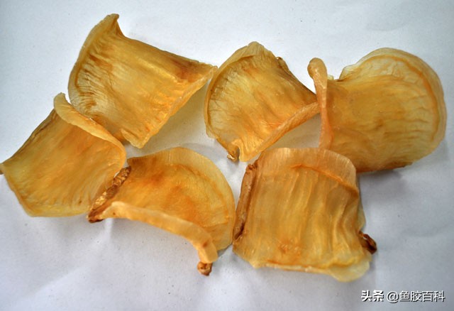 鱼胶真的有那么多胶原蛋白吗,鱼胶揭秘