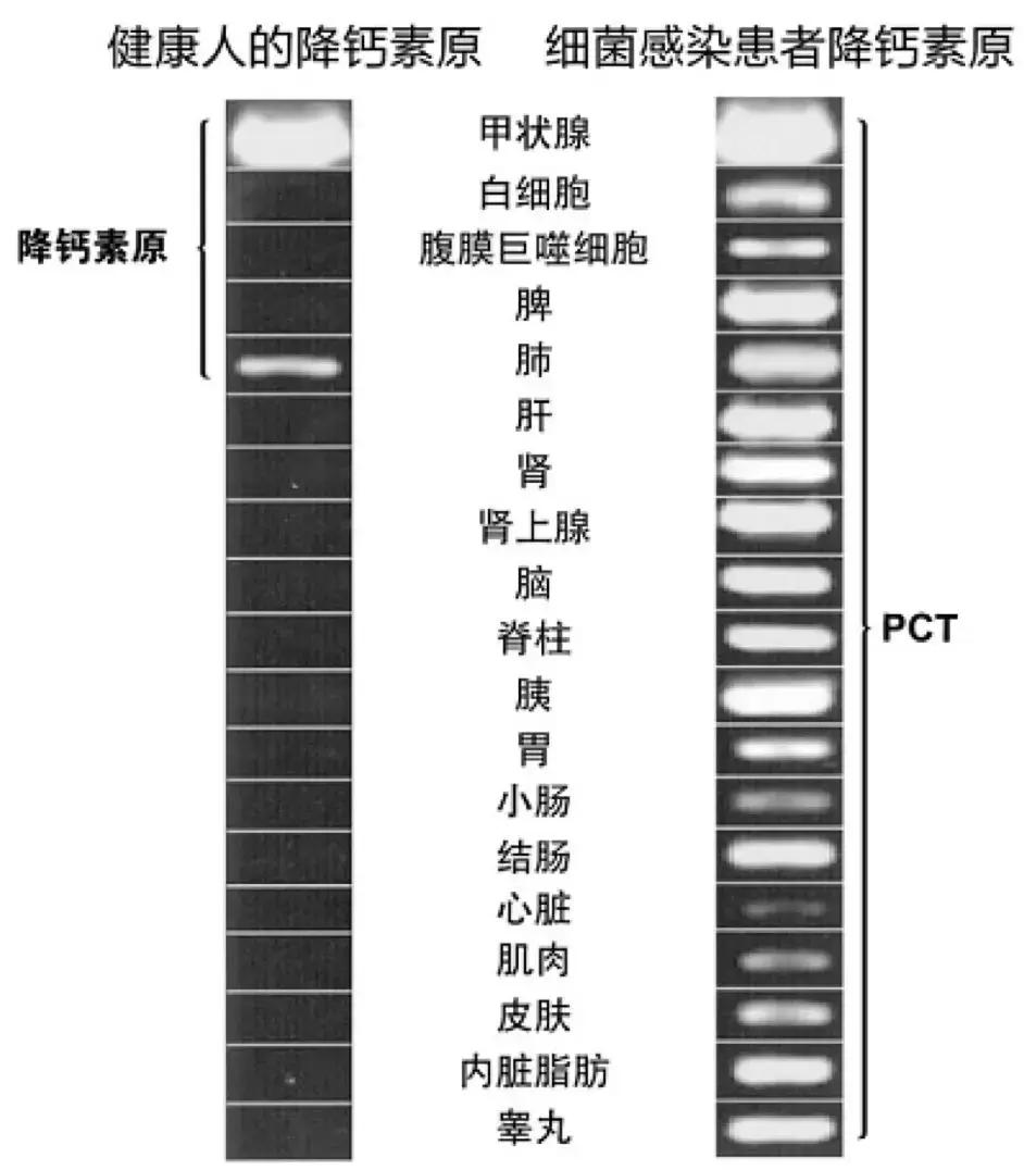 解立新医生怎么样,解立新简介