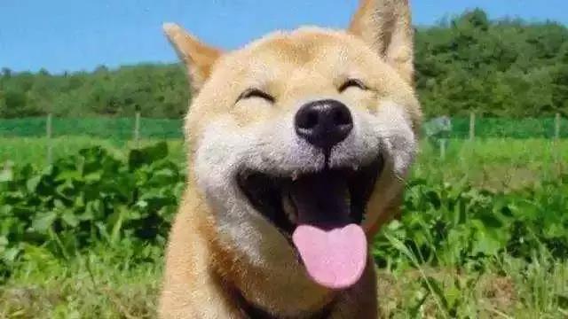 办公室划水指南,办公室划水小技巧有哪些