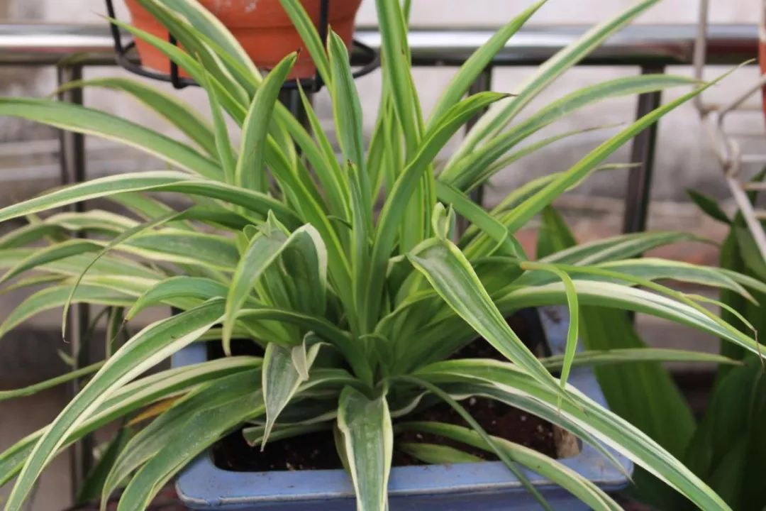 房间里湿气太重怎么办,房间湿气太重用什么除掉