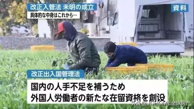 「日本●移民」为什么一直给你推荐小日子过的不错的日本?