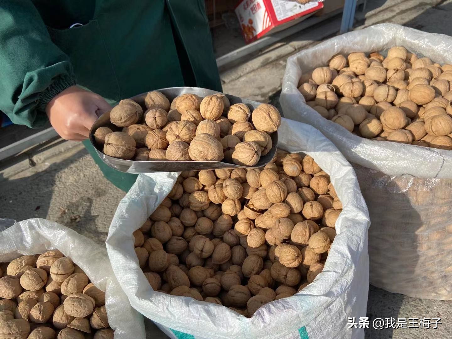 全国哪里核桃好吃,核桃产地哪里的最好吃