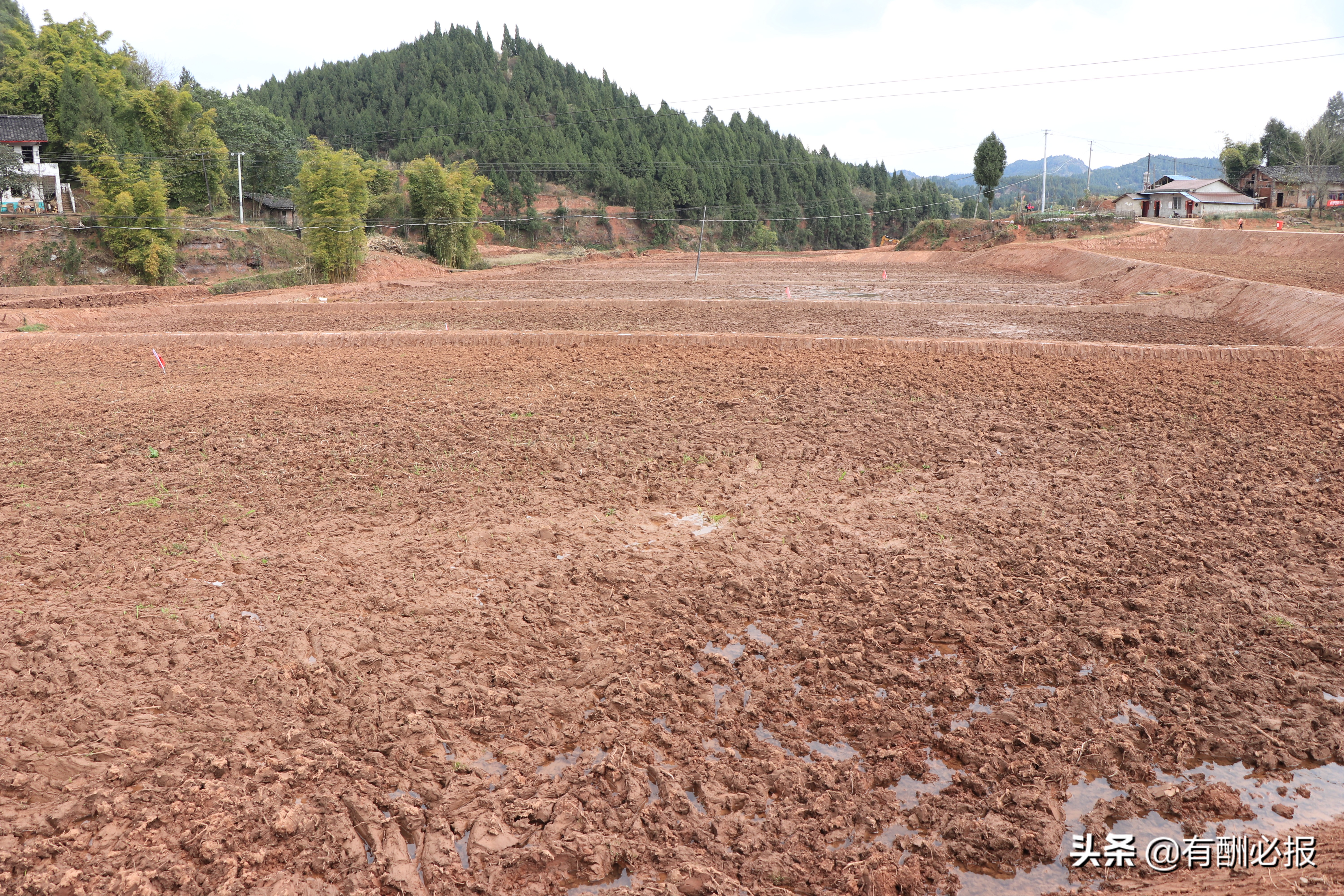 顺庆区共兴镇,顺庆区共兴镇工业园区