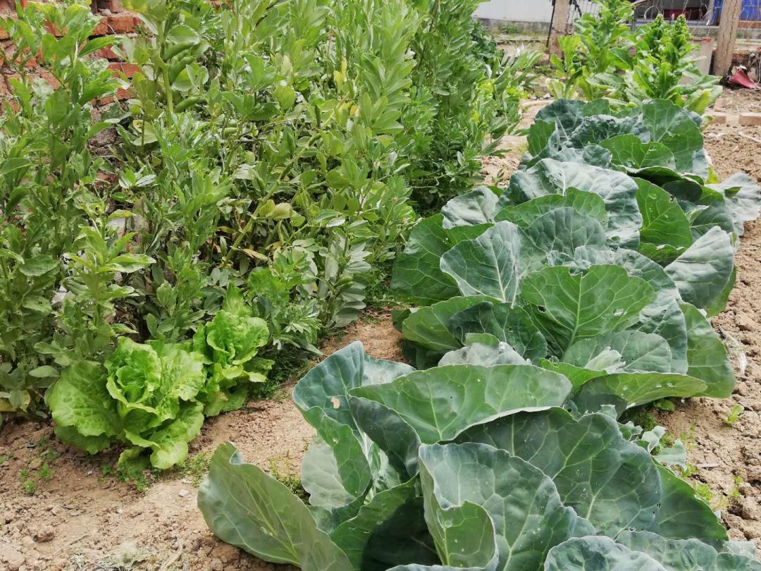 闲着木事儿，你来俺家玩儿呗