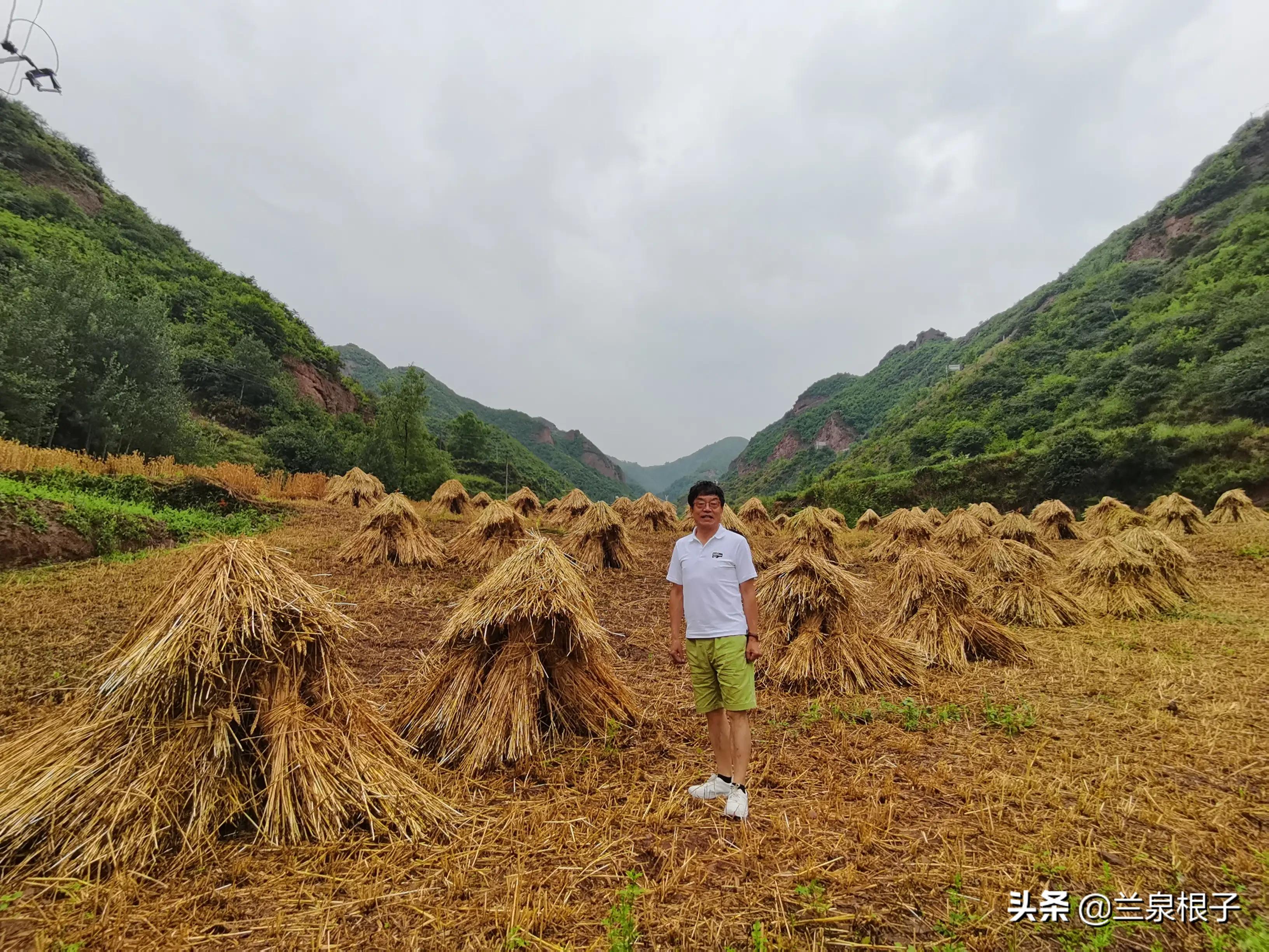 知青回忆那些年那些人那些事,那些年那些事大型知青电视连续剧