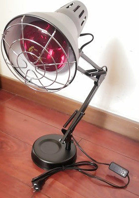 得了痔疮怎么办学会三招治痔疮,得了痔疮别担心这个小方法快试试