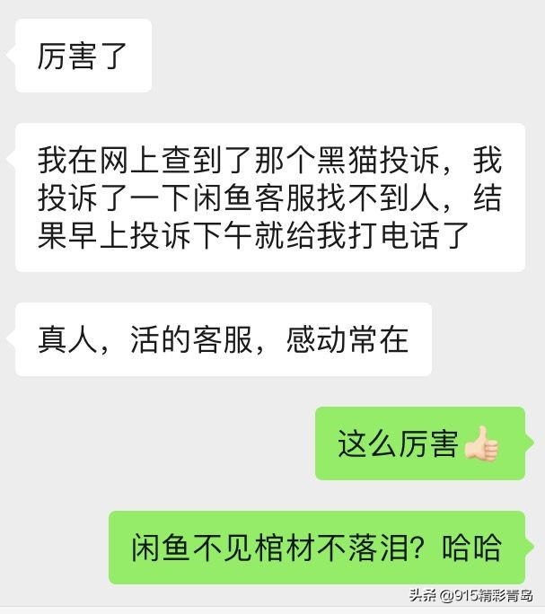 闲鱼搭建网站被骗,闲鱼互联网副业骗局曝光