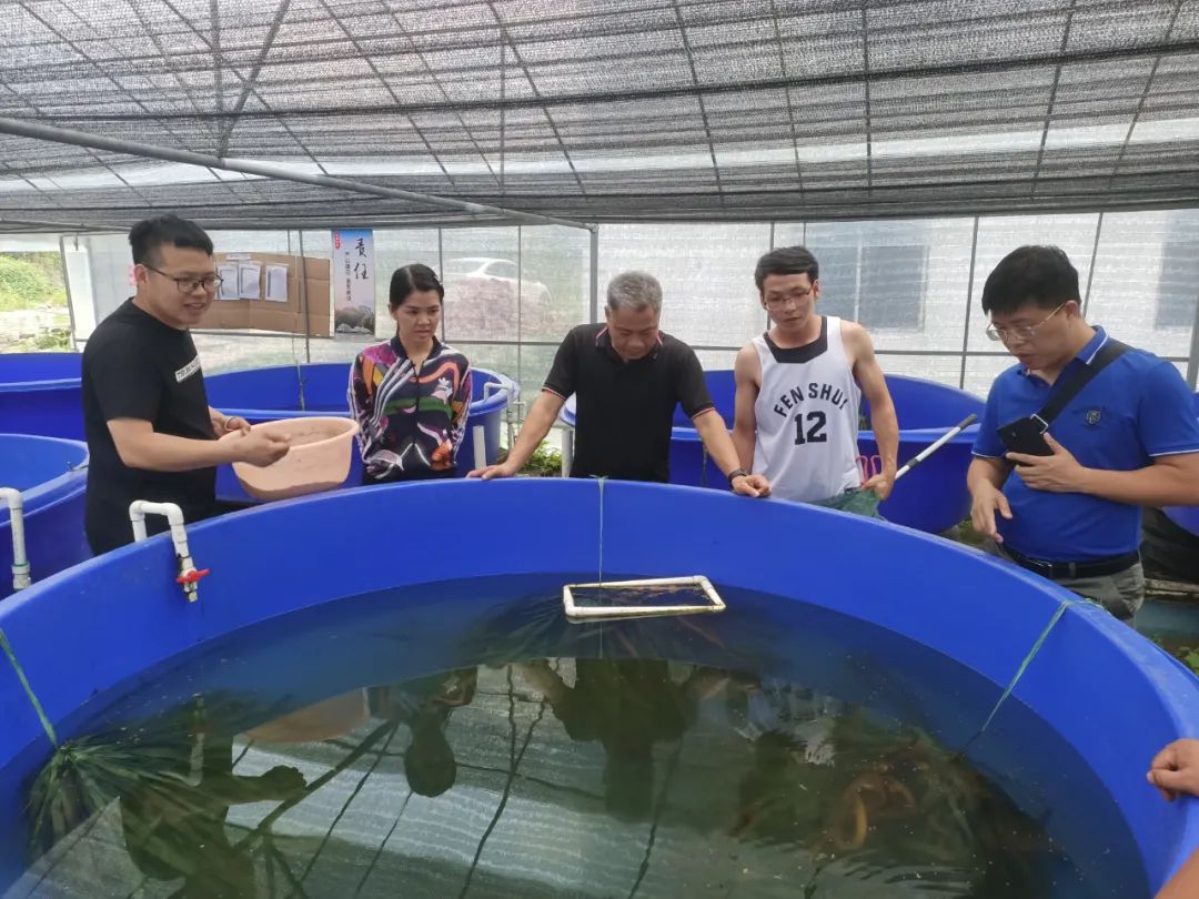 广西水产养殖技术推广平台,生态渔业新模式