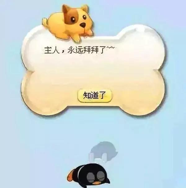 qq注销成功了是什么样子,qq将关闭停止哪些功能