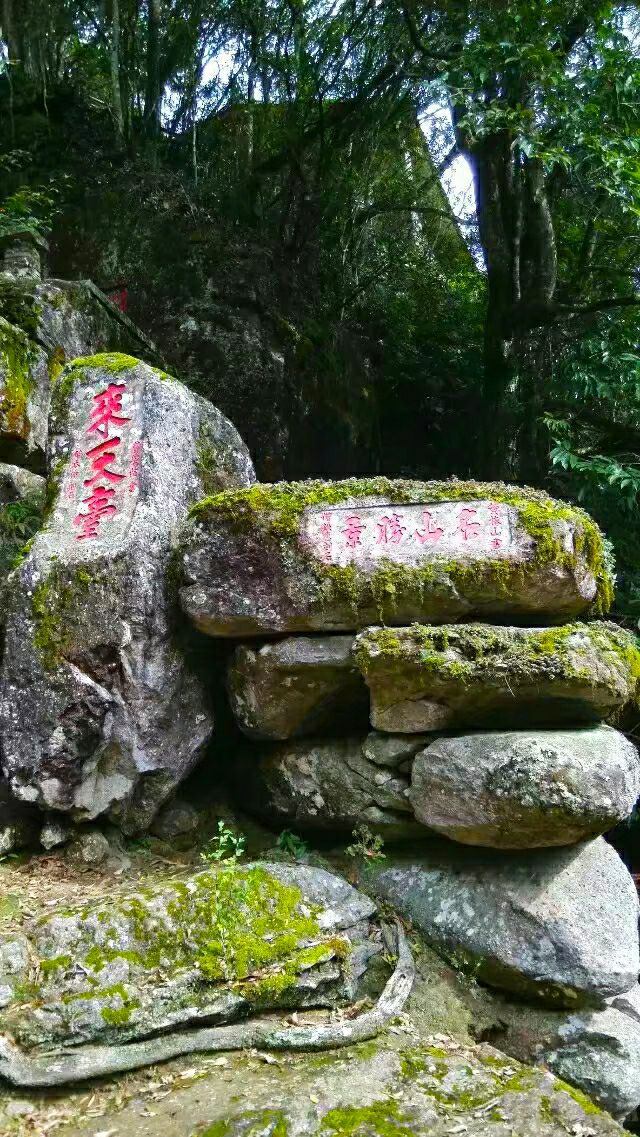 鬼斧神工崖柏,鬼斧神工刺青工作室