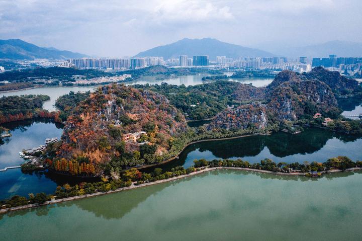 星湖冬日燃情，比落羽杉还要红的是什么？#我和湿地有个约会#