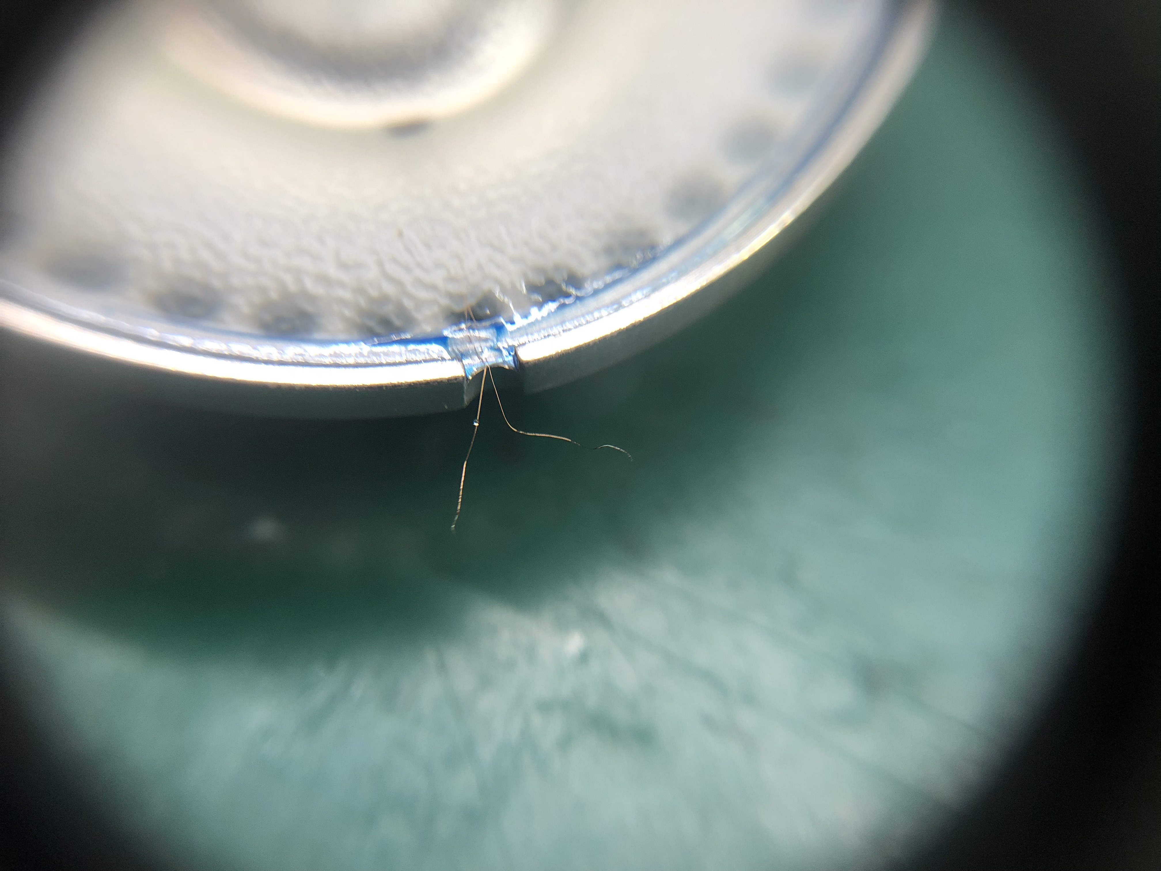 拜亚动力t1特斯拉,拜亚第三代特斯拉旗舰耳机t1评测