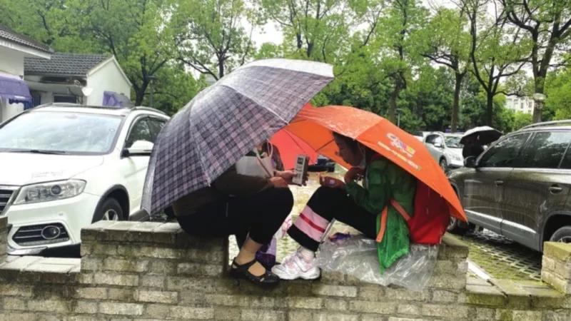 雨后苏州视频,雨后苏州的图片