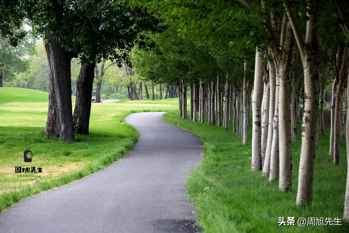 盛京游记沈阳滨河休闲公园,沈阳盛京旅游项目