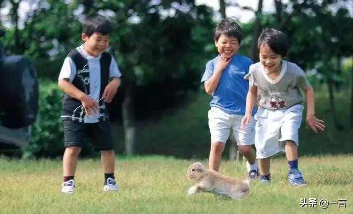 萌宠经济消费升级，藏身汉口北的超值宠物用品基地不容错过