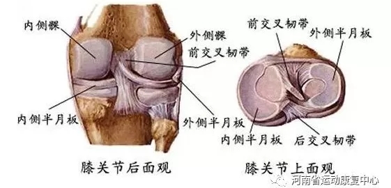 运动过程中为什么膝关节容易损伤,运动损伤膝盖怎么避免
