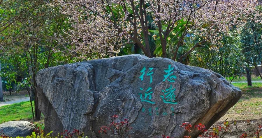 郑州七十四中电话,郑州七十四中私立学校