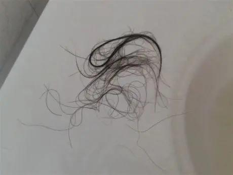 家里掉的头发多怎么打扫,地面灰尘头发怎么处理干净