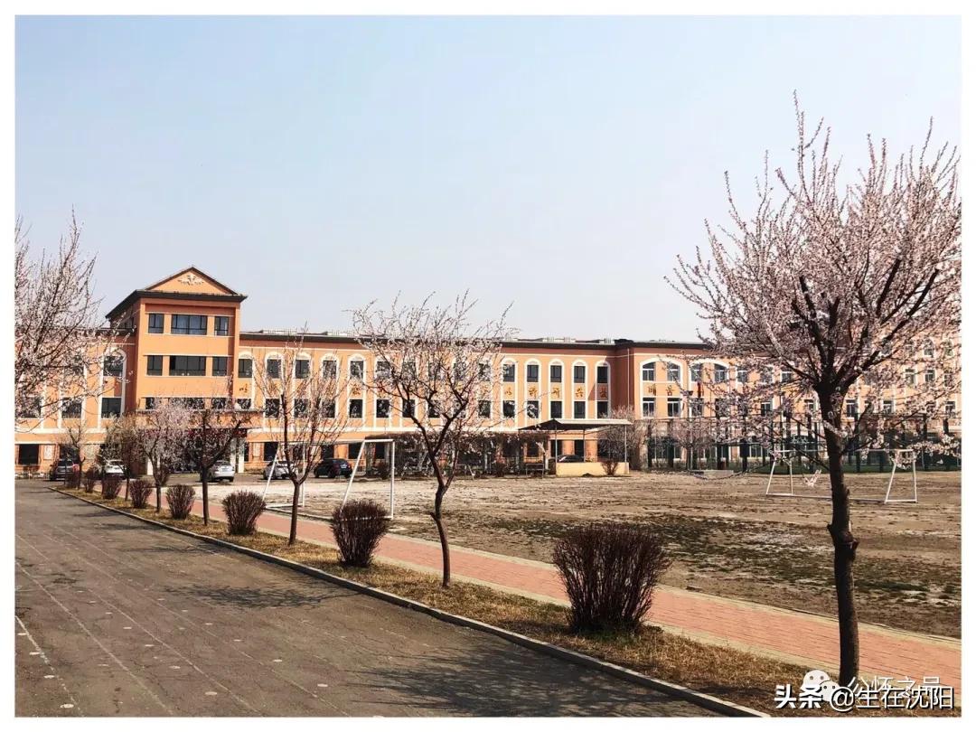 沈阳回忆,沈阳兴华实验学校回忆录