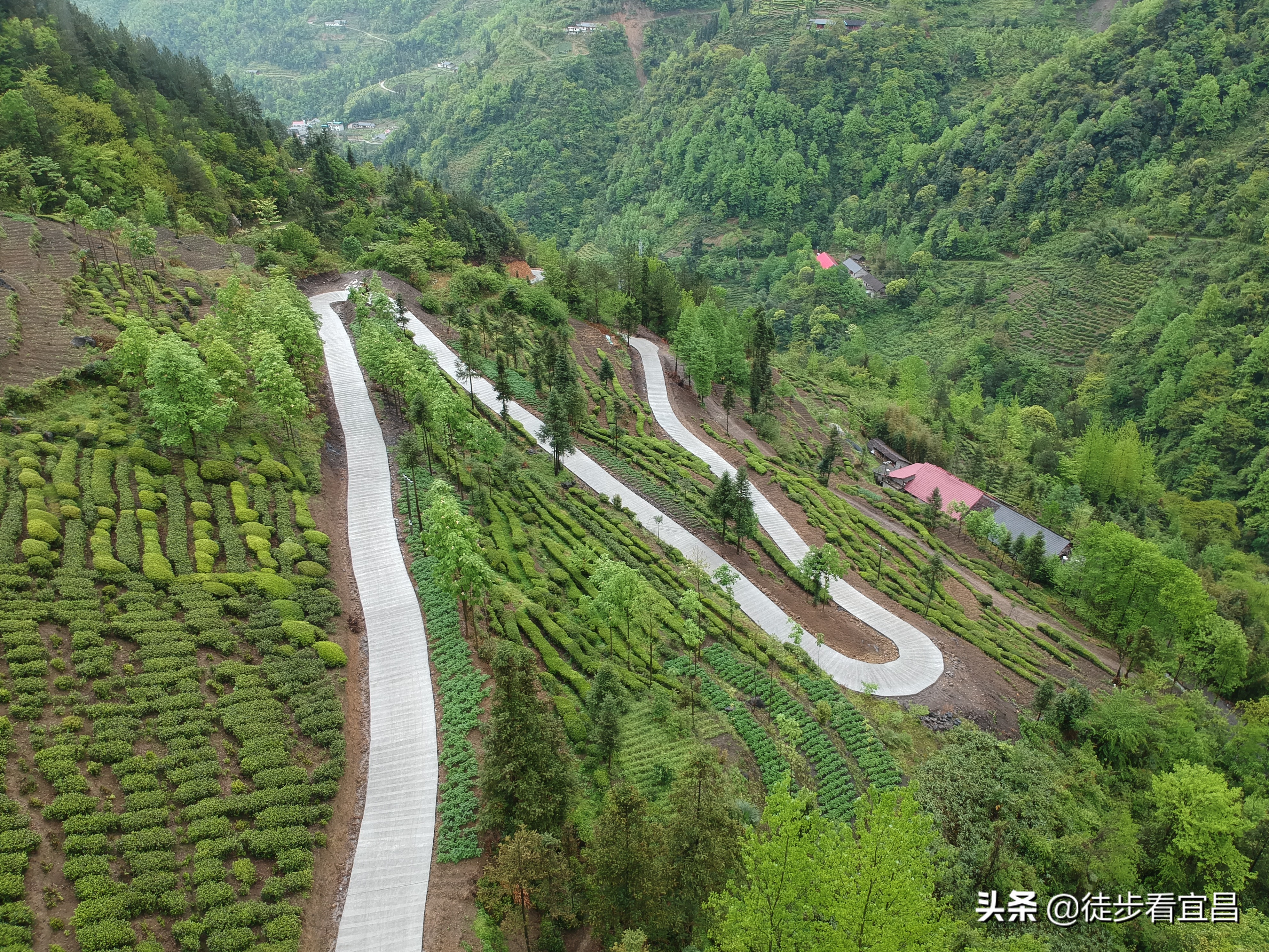 宜昌五峰茶乡全景,宜昌五峰国际旅游茶乡