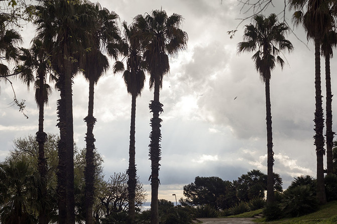 西班牙巴塞罗那之行,西班牙巴塞罗那时尚之旅