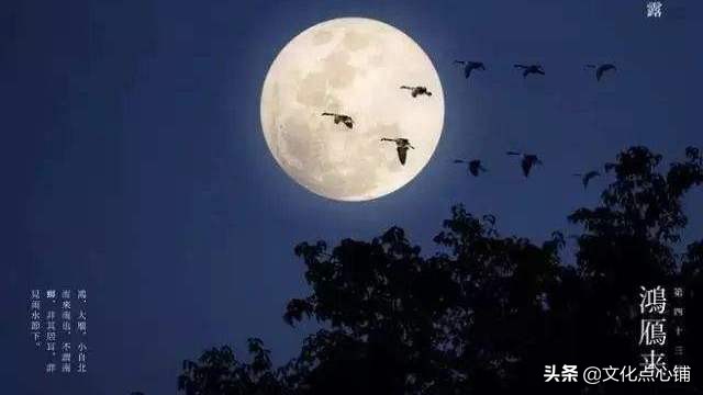 这首冷门宋诗，意境美到无与伦比，网友直呼：好美，被惊艳到了